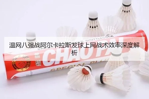 wen-wang-ba-qiang-zhan-a-er-ka-la-si-fa-qiu-shang-wang-zhan-shu-xiao-lv-shen-du-jie-xi-3-528.jpg