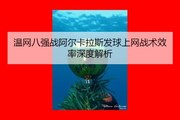 温网八强战阿尔卡拉斯发球上网战术效率深度解析