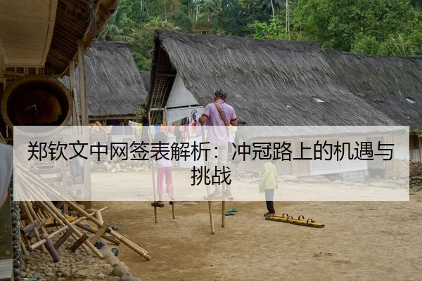 郑钦文中网签表解析：冲冠路上的机遇与挑战